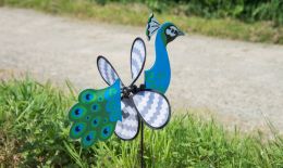 Blue birds fly