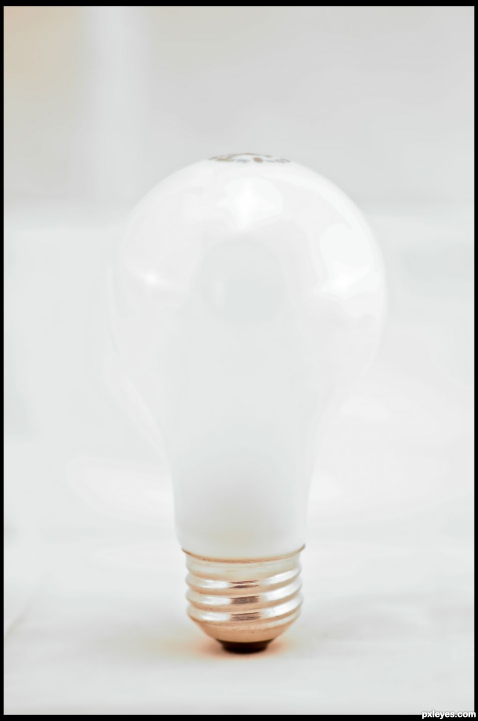 Bulb