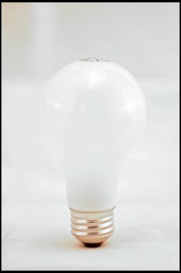 Bulb