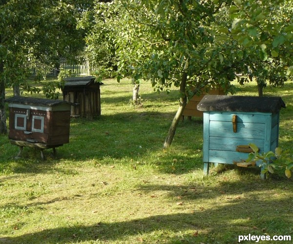 Painted beehives
