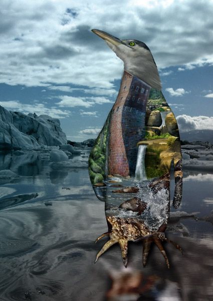 Creation of LOST 3, Penguin Edition: Step 5