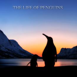 The Life of Penguins