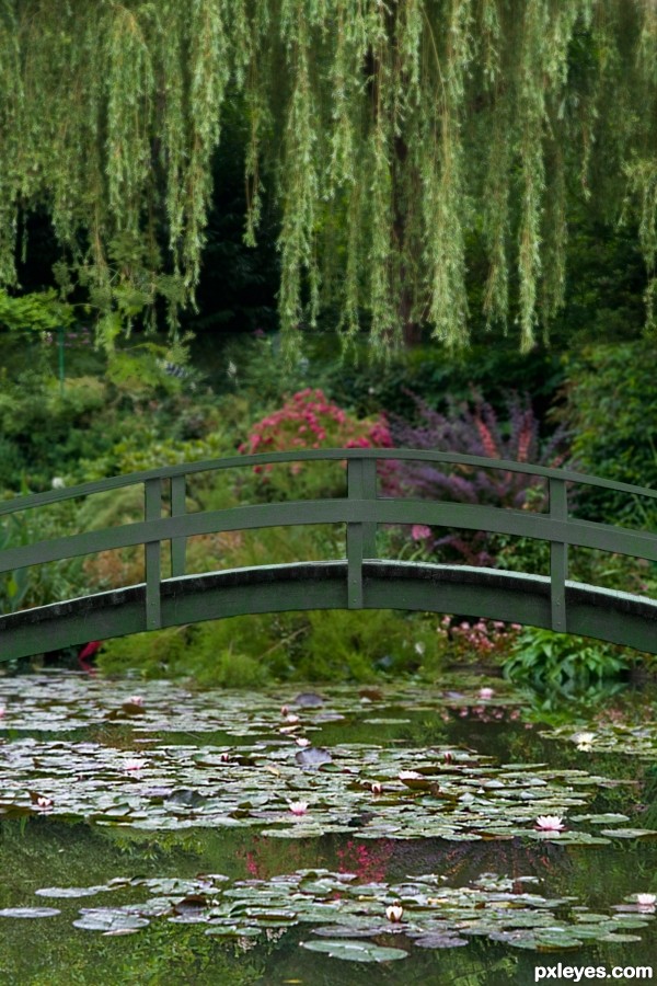 Creation of Monet, Bridge over Water Lilies: Final Result