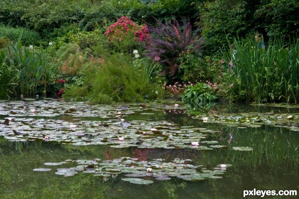 Creation of Monet, Bridge over Water Lilies: Step 3