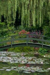 MonetBridgeoverWaterLilies