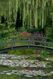 Monet, Bridge over Water Lilies