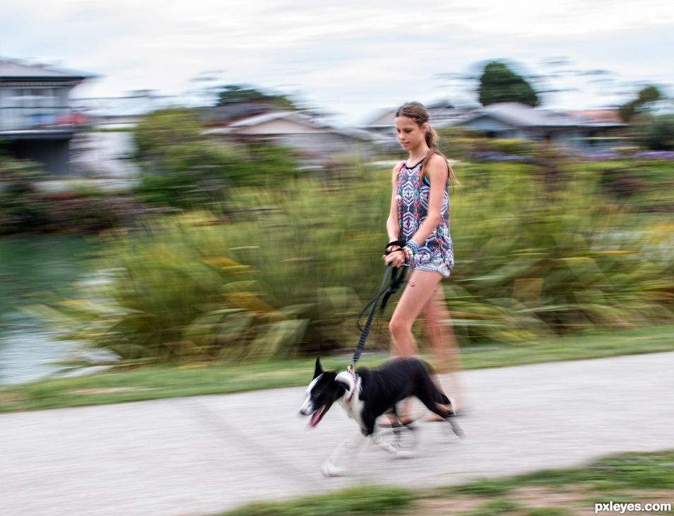 Walking the dog, or is the dog walking her?