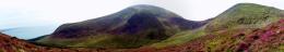 Heather on the Mournes 