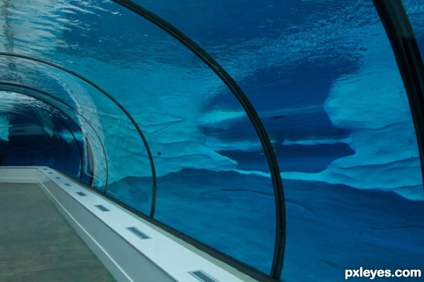 Creation of Polar Tunnel: Step 2