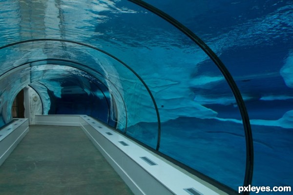 Creation of Polar Tunnel: Step 3