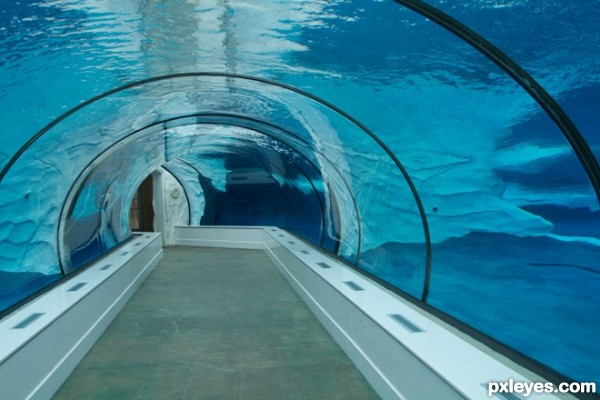 Creation of Polar Tunnel: Step 4