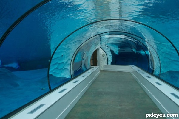 Creation of Polar Tunnel: Step 5