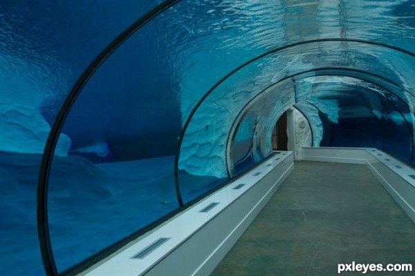 Creation of Polar Tunnel: Step 6
