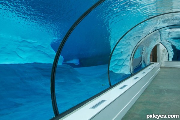 Creation of Polar Tunnel: Step 7