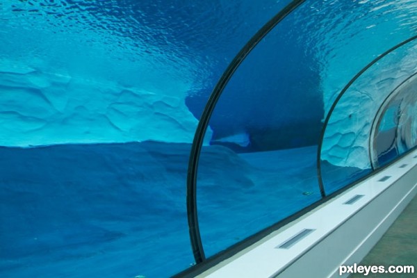 Creation of Polar Tunnel: Step 8
