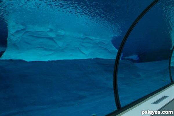 Creation of Polar Tunnel: Step 9