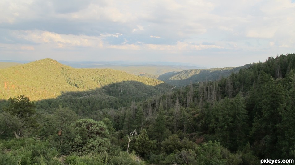 Creation of Pine Pano: Step 3