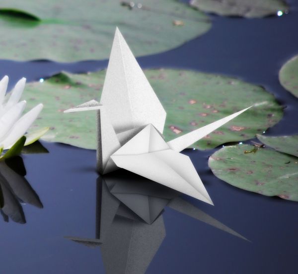 Origami Weekly