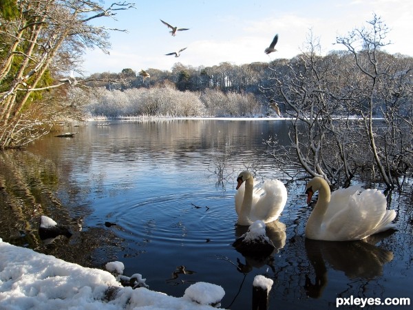 Guardians of the Lake