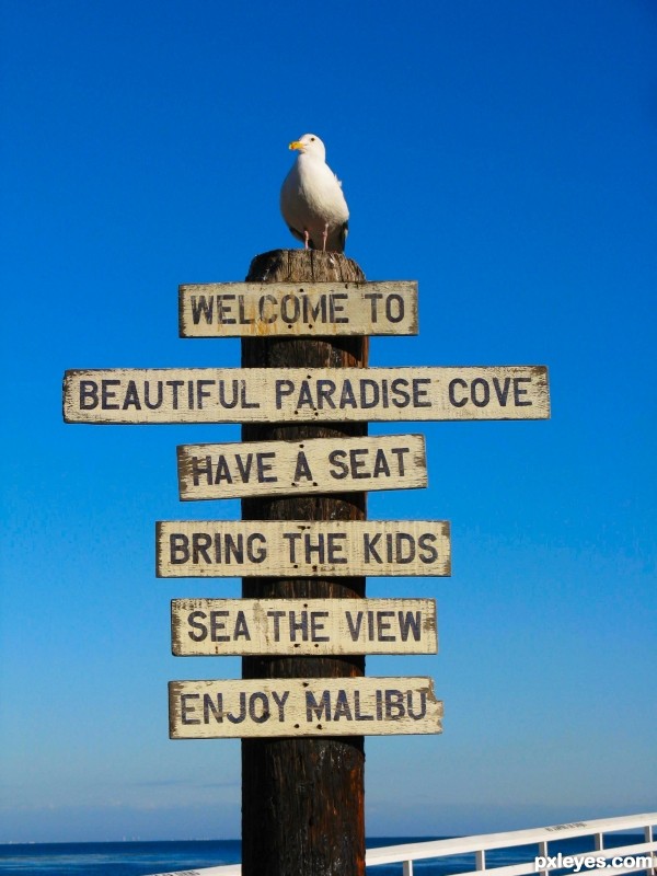 Malibu Paradise Cove