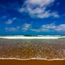 paradise 2018  photography contest