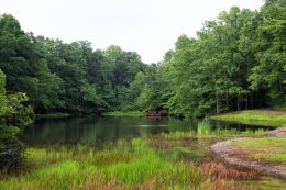 Just want to chill by a lake.