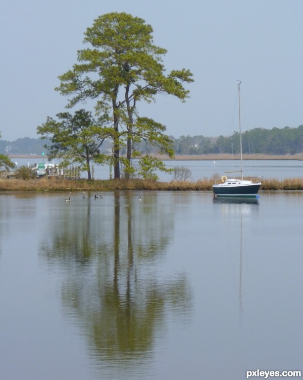 Sailing today?