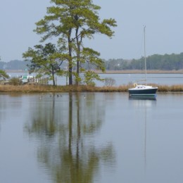 Sailing today?