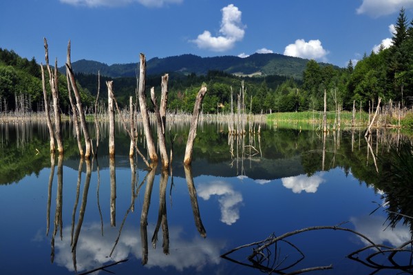 Cuejdel Lake 