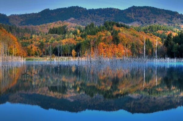 Autumn paradise HDR 