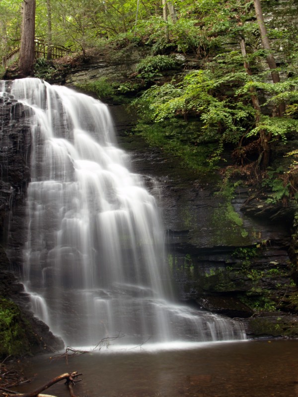 At the Falls