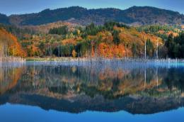 Autumn paradise HDR 