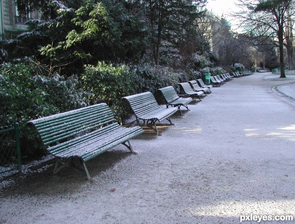 Benches frost
