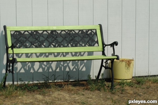 Lonely Lime Bench