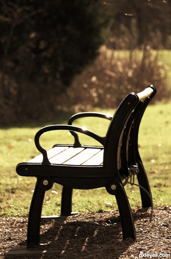 black bench