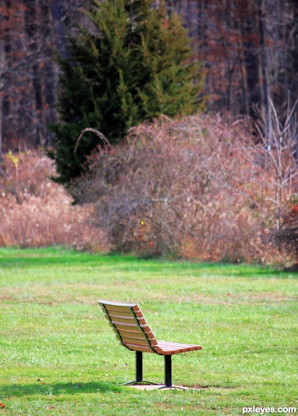 lonely bench