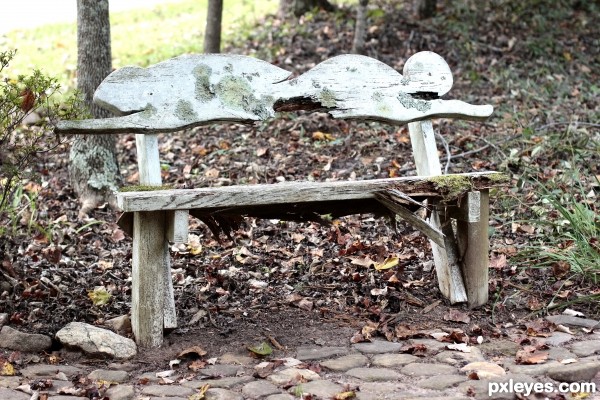 Creation of Fish Bench: Step 1