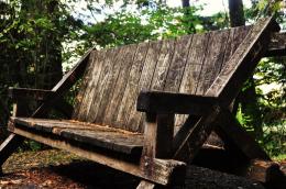 Forest Bench