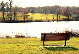 bench