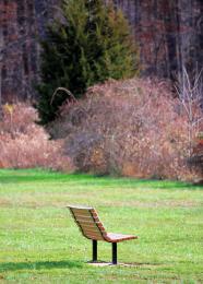 lonelybench