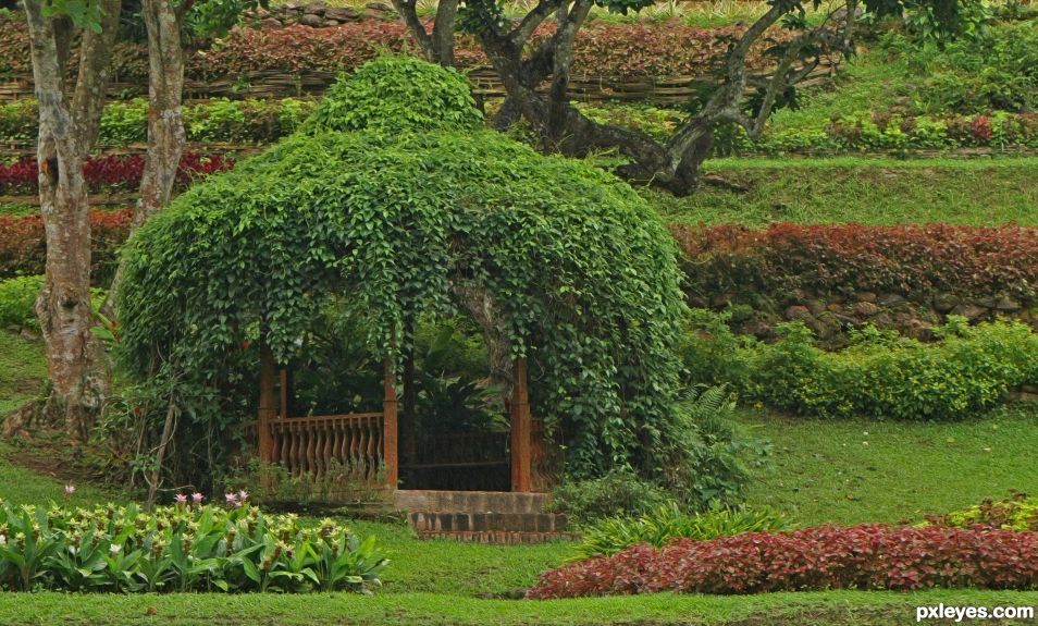 Gazebo in the Park