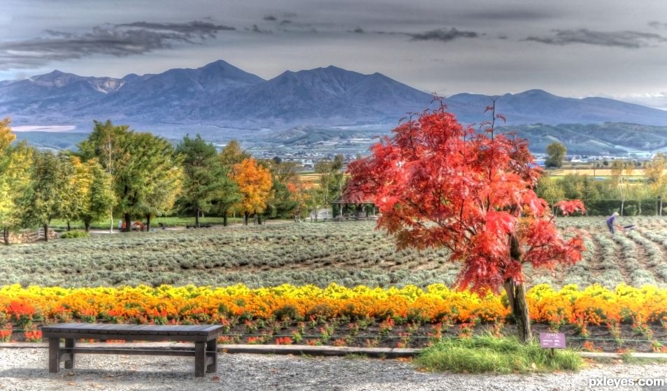 Furano National Park