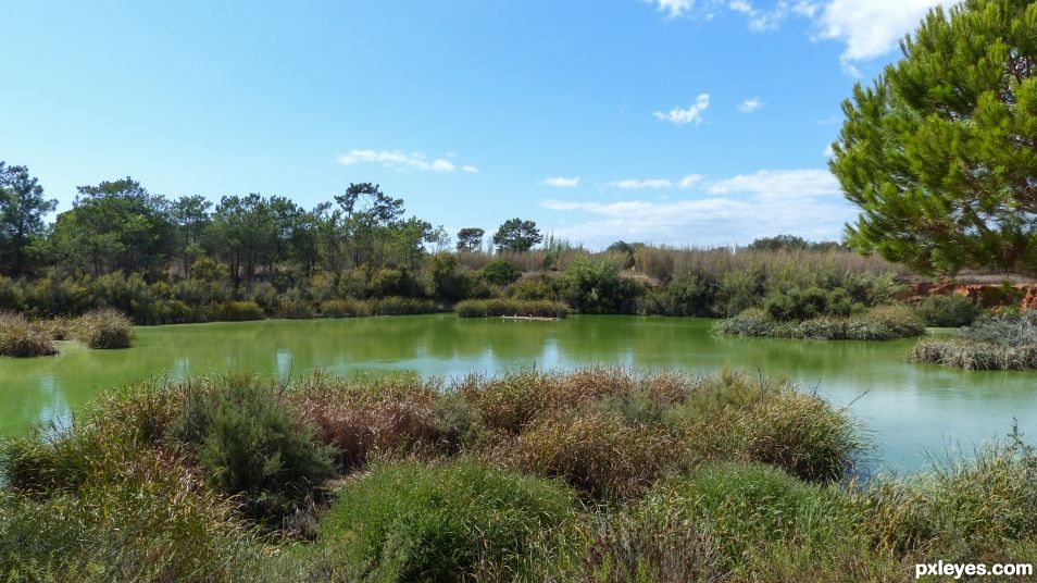 Ria Formosa natural park