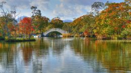 Onuma National Park Picture