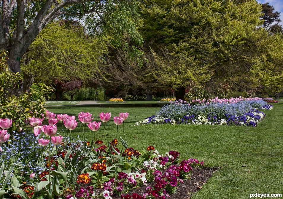 Hagley Park, Christchurch