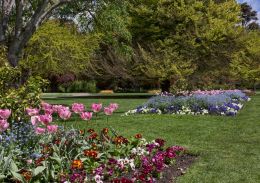 Hagley Park, Christchurch Picture