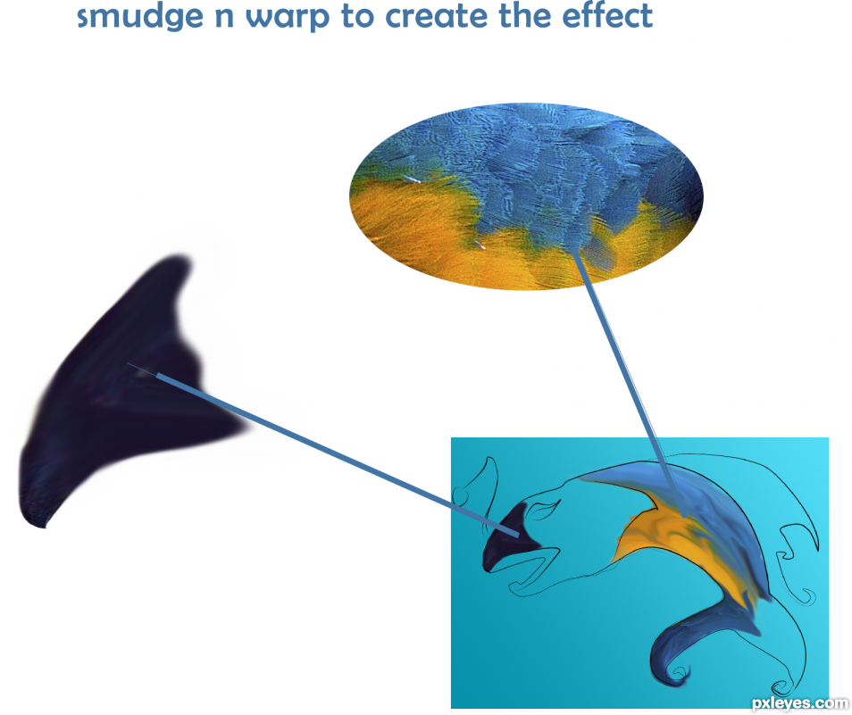 Creation of Parrot Color Fish: Step 4