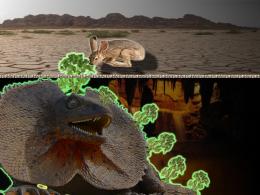 Radioactive Parsley Lizard Picture