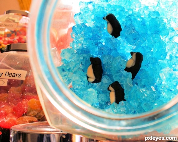 Candy Penguins on Ice