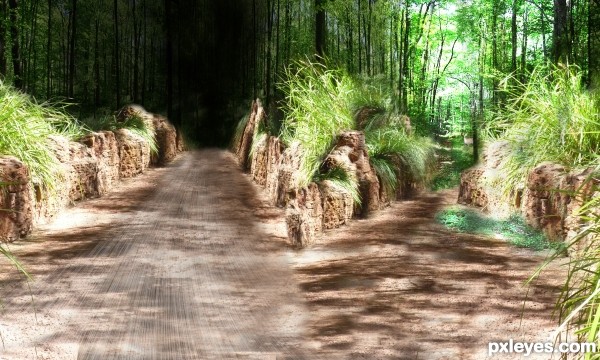 Creation of Fork in the Road: Step 4